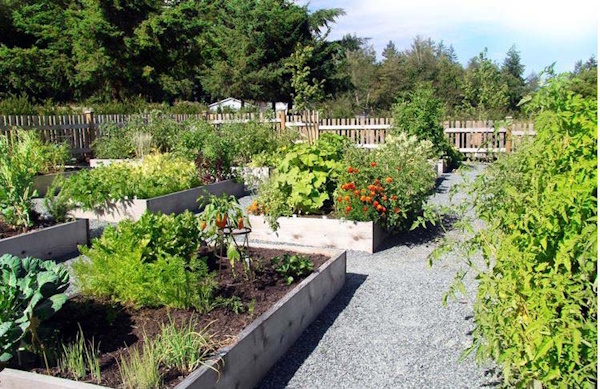 Community Garden